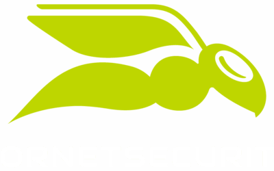 Hornetsecurity Logo