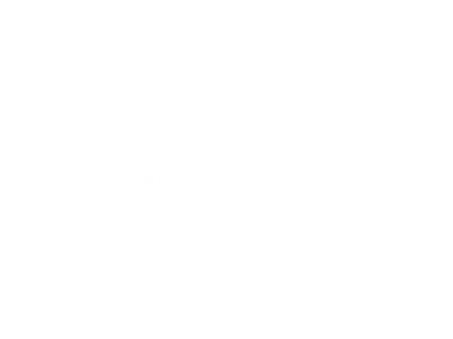 Händlerbund GPSR Check