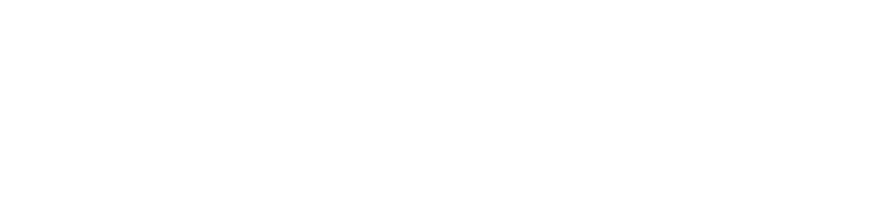 woocommerce-logo-white-shopsystem-newmountains-it